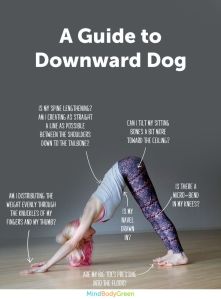 downward dog