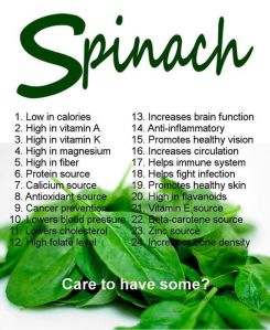 spinach 24 tw jan 16
