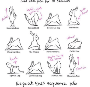 monday yoga tw feb 16