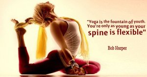 yoga fountain of youth tw feb 16