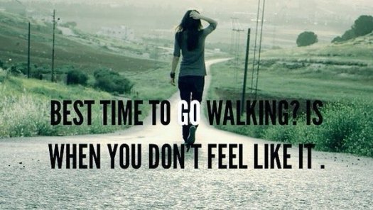 stress go walk tw 30516