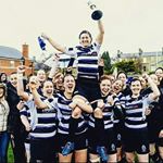 wandererswomen's profile picture