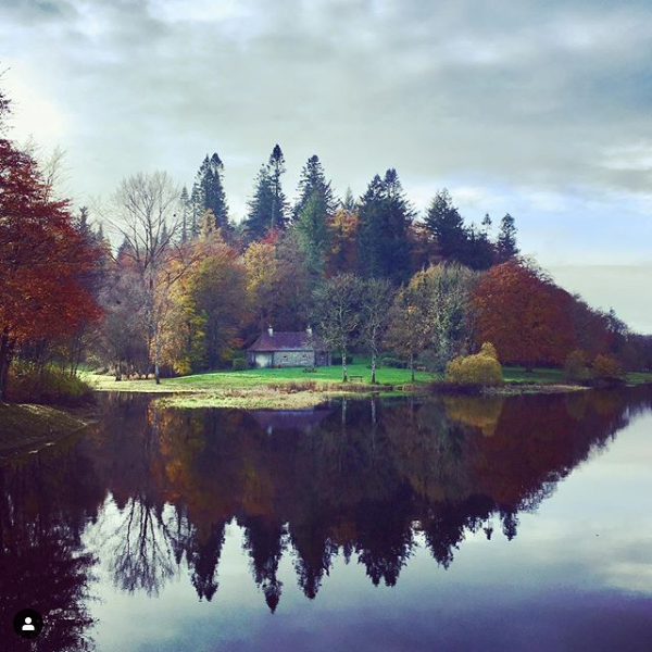 Screenshot_2020-08-07 #killykeen hashtag on Instagram • Photos and Videos